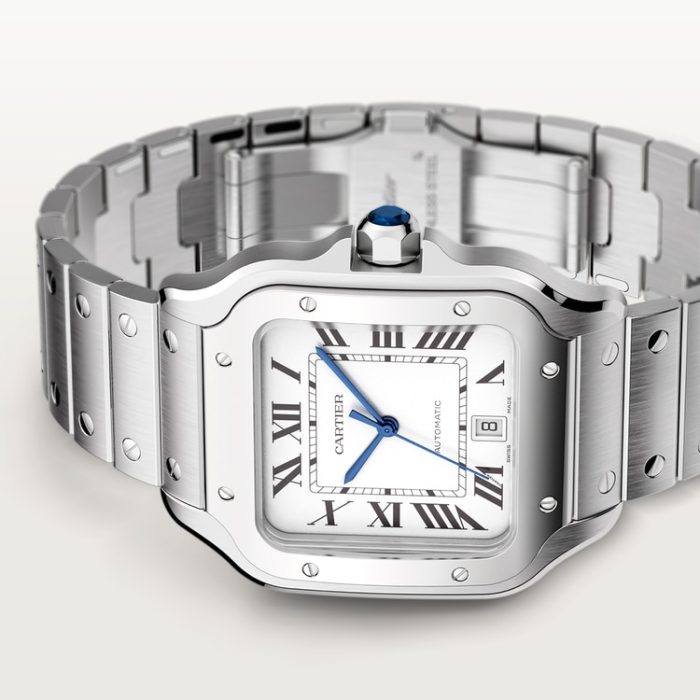 SANTOS DE CARTIER saat - Görsel 10