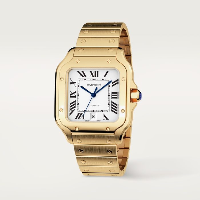 SANTOS DE CARTIER saat - Görsel 3