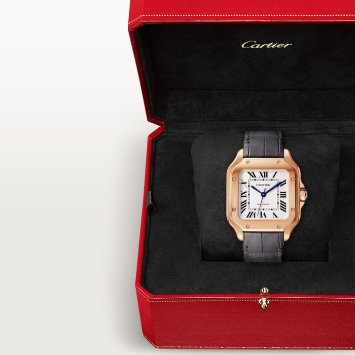 SANTOS DE CARTIER saat - Görsel 6