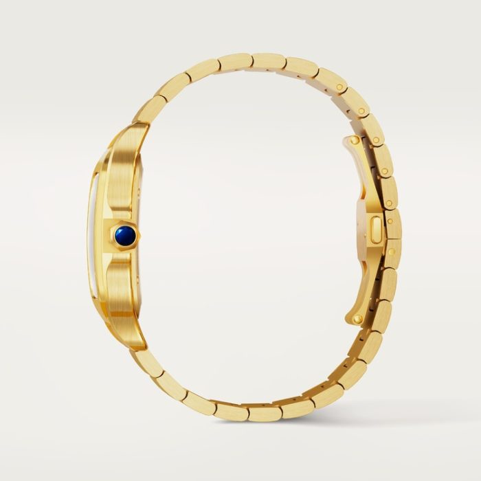 SANTOS DE CARTIER saat - Görsel 5