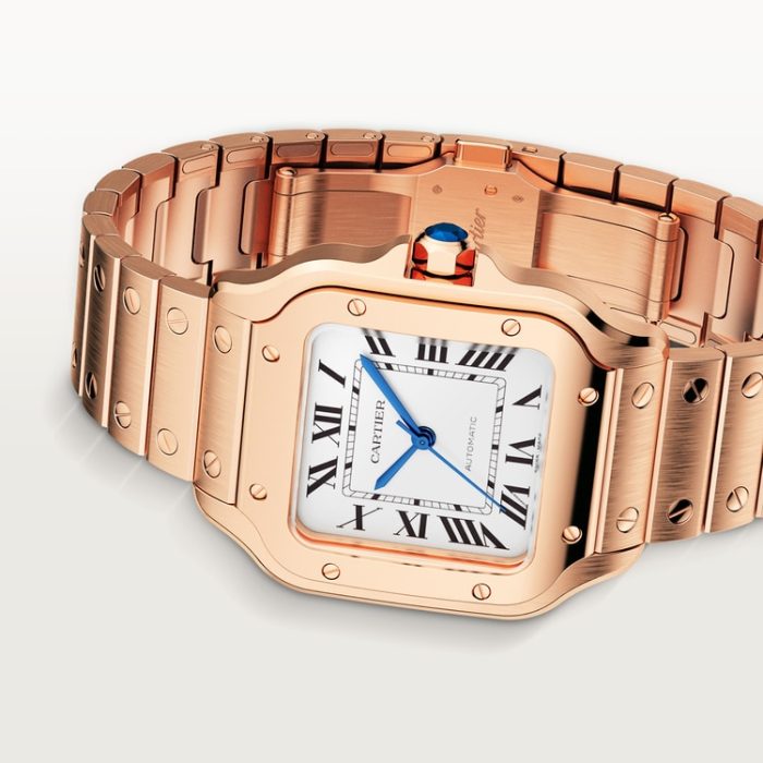 SANTOS DE CARTIER saat - Görsel 6