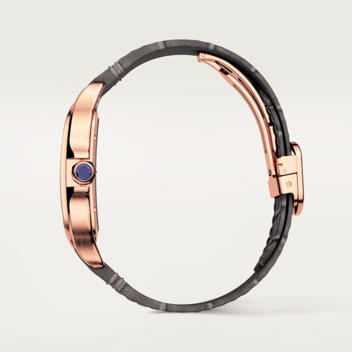 SANTOS DE CARTIER iskelet saat - Görsel 4