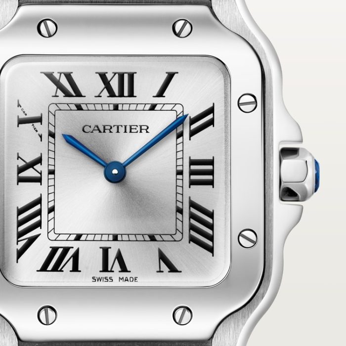SANTOS DE CARTIER saat - Görsel 8