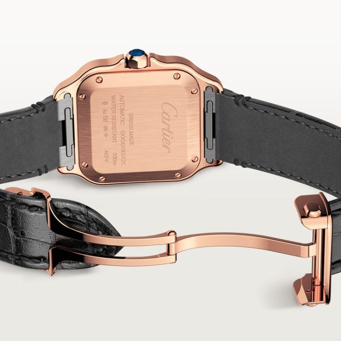 SANTOS DE CARTIER saat - Görsel 6
