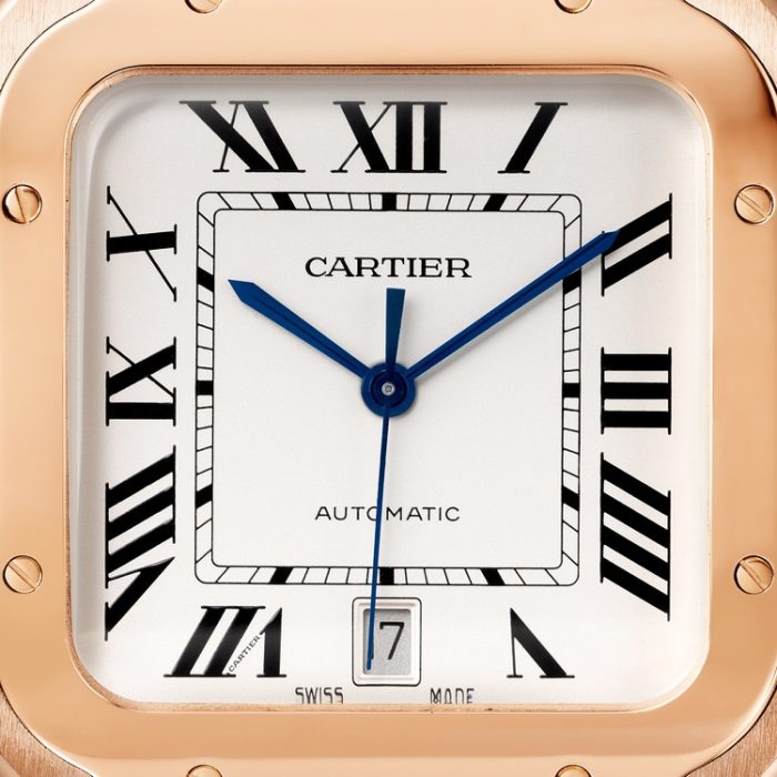 SANTOS DE CARTIER saat - Görsel 8