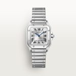 SANTOS DE CARTIER saat